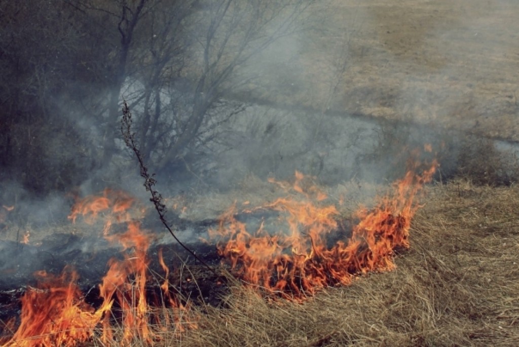 Obavijest o uvjetima spaljivanja korova, trave i drugog otpadnog  materijala biljnog porijekla